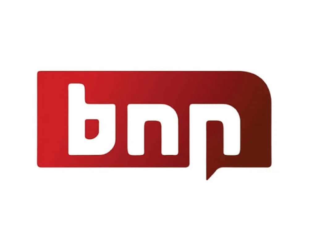Logo with 'bnp' text on a red background